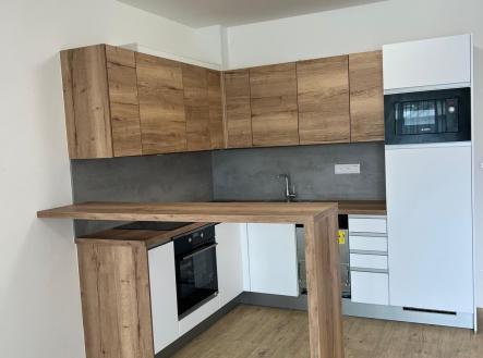 Pronájem bytu, 1+kk, 47 m²