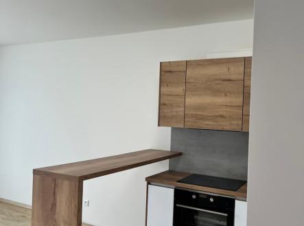 Pronájem bytu, 1+kk, 47 m²