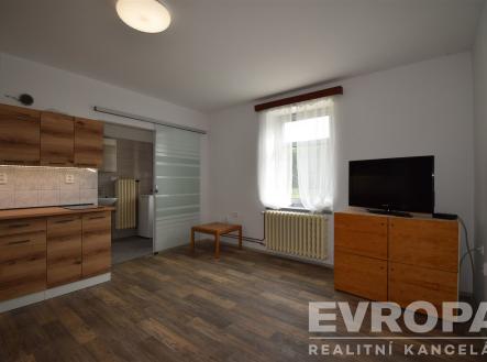 . | Pronájem bytu, 1+kk, 24 m²