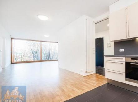Pronájem bytu, 4+kk, 469 m²