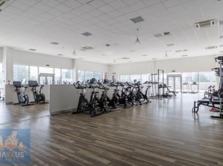 Fotka 2 | Pronájem - obchodní prostor, 490 m²