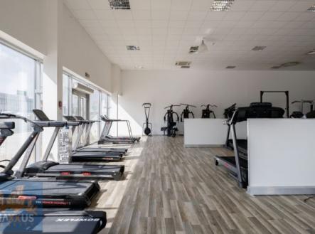 Fotka 4 | Pronájem - obchodní prostor, 490 m²