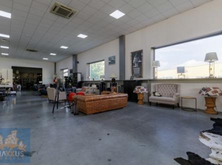 Fotka 6 | Pronájem - obchodní prostor, 259 m²