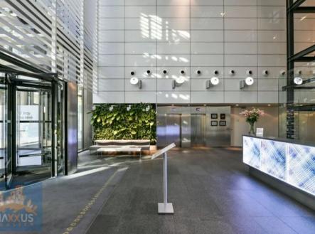 Fotka 2 | Pronájem - kanceláře, 943 m²
