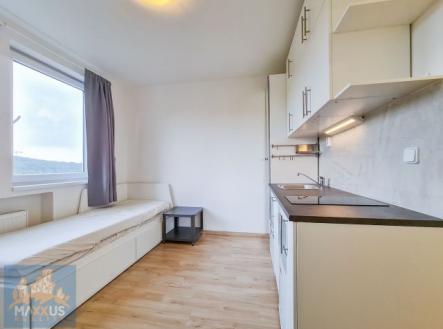 Fotka 4 | Pronájem bytu, 1+kk, 17 m²