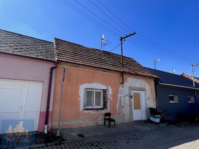 Fotka 11
