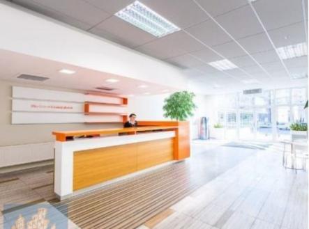 Fotka 2 | Pronájem - kanceláře, 417 m²