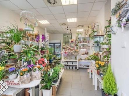 Fotka 5 | Pronájem - obchodní prostor, 25 m²
