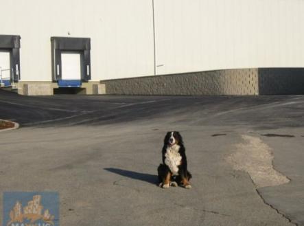 Fotka 2 | Pronájem - skladovací prostor, 1 762 m²