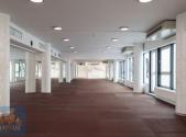 Pronájem - obchodní prostor, 360 m²