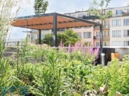 Fotka 2 | Pronájem - kanceláře, 221 m²