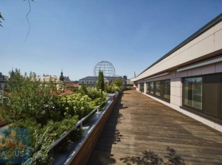 Fotka 3 | Pronájem - kanceláře, 250 m²