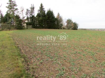 pohled na pozemek | Prodej - pozemek pro bydlení, 4 101 m²