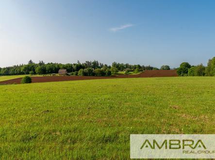 Prodej - pozemek, zemědělská půda, 25 667 m²
