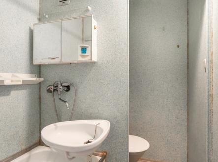 4.jpg | Pronájem bytu, 1+kk, 20 m²