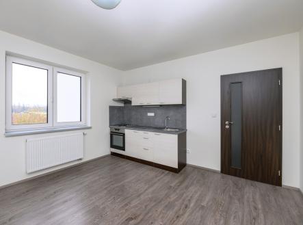 1-1.jpg | Pronájem bytu, 1+kk, 22 m²