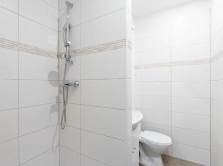 4.jpg | Pronájem bytu, 1+kk, 21 m²