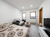 Pronájem bytu, 1+1, 47 m²