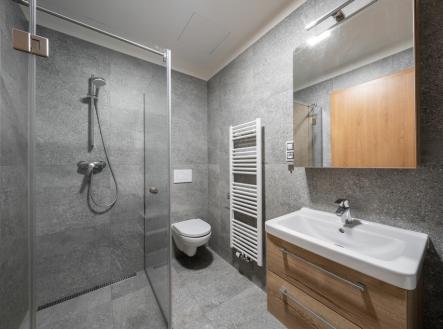 4-1.jpg | Pronájem bytu, 1+1, 47 m²