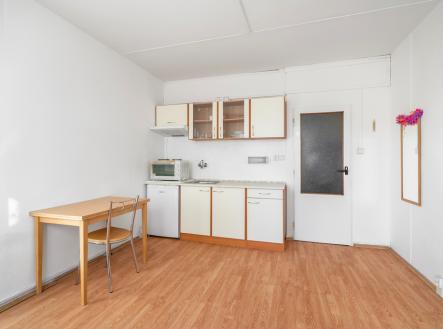 2.jpg | Pronájem bytu, 1+kk, 20 m²