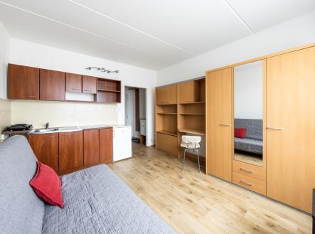 2-1.jpg | Pronájem bytu, 1+kk, 20 m²