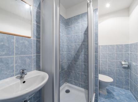 4-1.jpg | Pronájem bytu, 1+kk, 20 m²