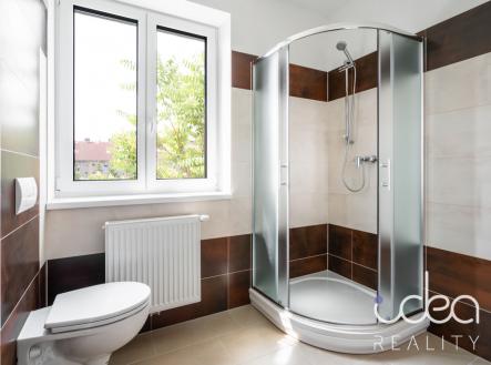 2.jpg | Pronájem bytu, 1+kk, 24 m²