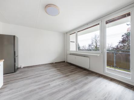 1-1.jpg | Pronájem bytu, 1+kk, 33 m²