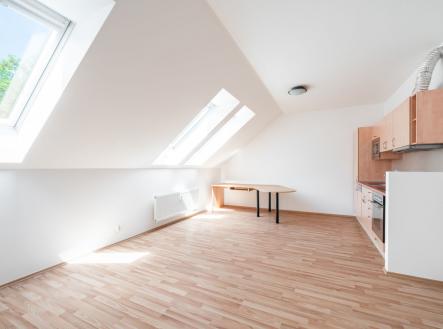 1-1.jpg | Pronájem bytu, 1+kk, 40 m²