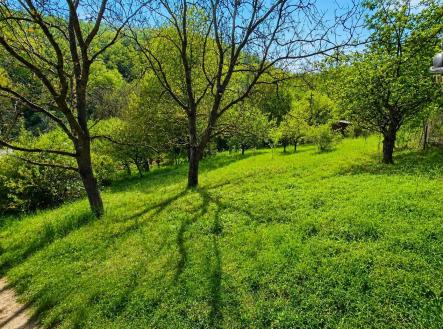 5.jpg | Prodej - pozemek, zahrada, 415 m²