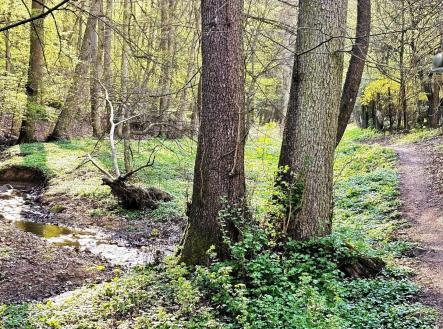 0418(27).jpg | Prodej - chata/rekreační objekt, 24 m²