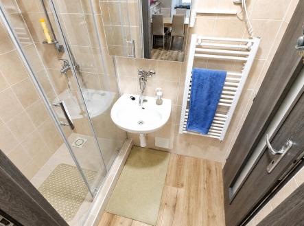 10.jpg | Pronájem bytu, 2+kk, 52 m²