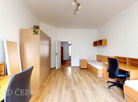 Pronájem bytu, 4+1, 116 m²