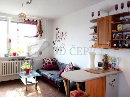 Pronájem bytu, 1+kk, 26 m²