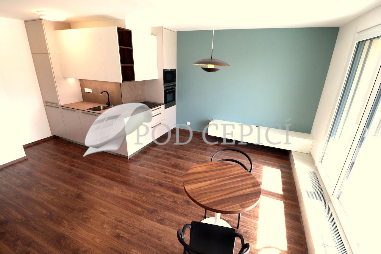 Pronájem bytu 2+kk s lodžií, 67,5m2, U Červeného mlýna, Brno Ponava