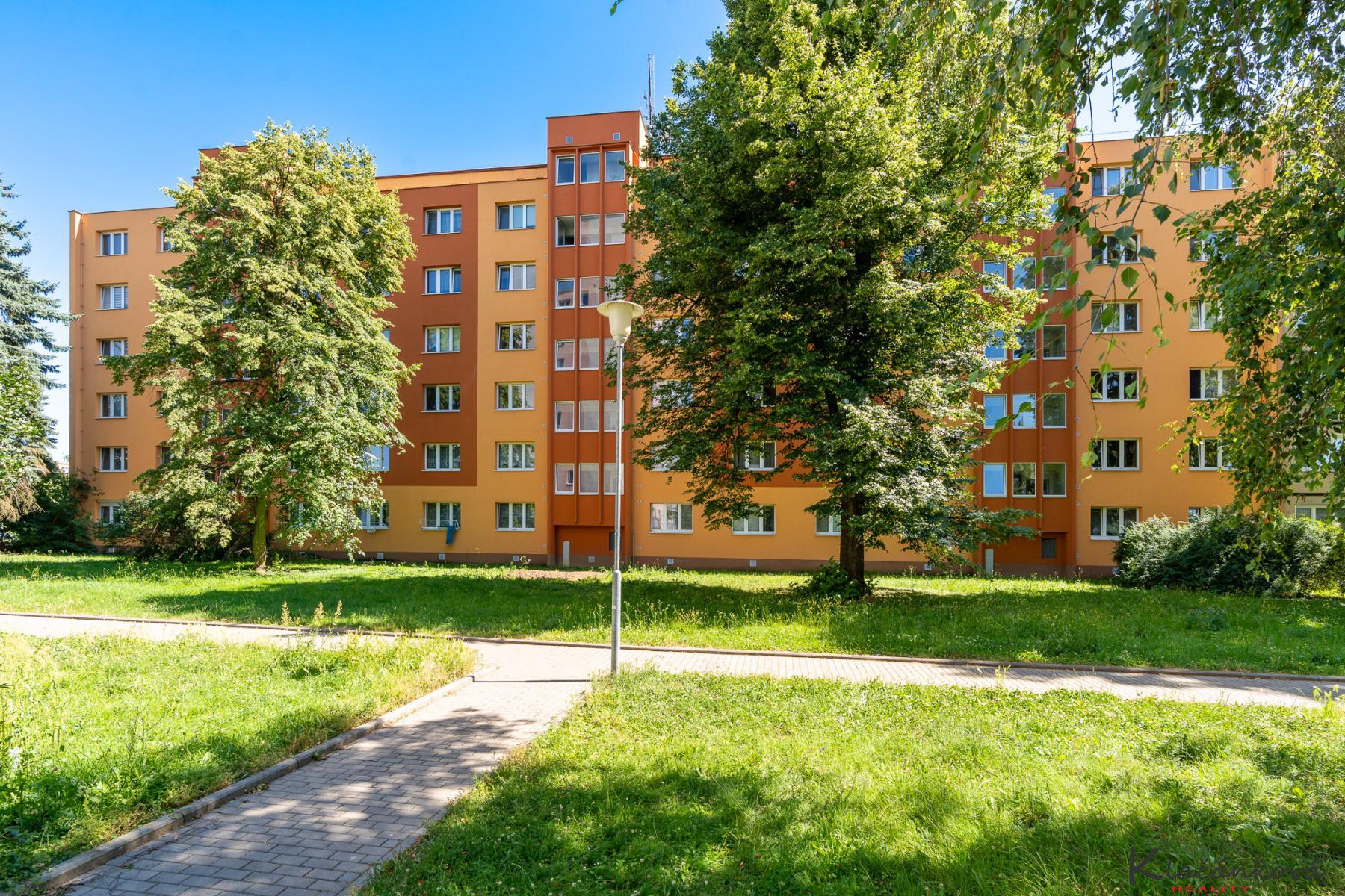 Dana-Klačánková-1.jpg