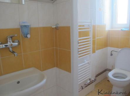 stahování (4).jpg | Pronájem bytu, 1+kk, 27 m²