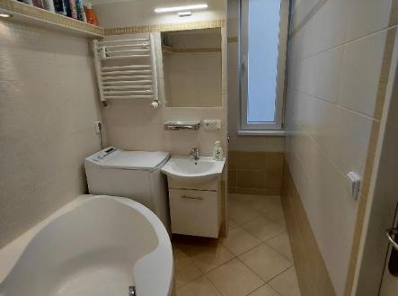 stahování (2).jpg | Prodej bytu, 3+kk, 65 m²