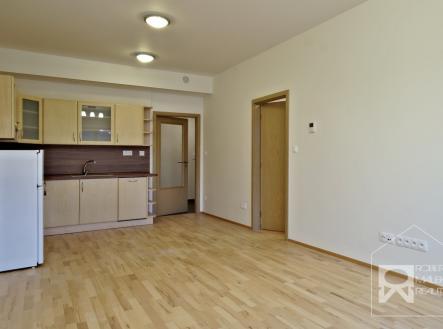 Obývací pokoj s kuchyňským koutem | Pronájem bytu, 2+kk, 51 m²