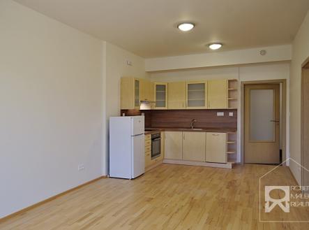 Obývací pokoj s kuchyňským koutem | Pronájem bytu, 2+kk, 51 m²