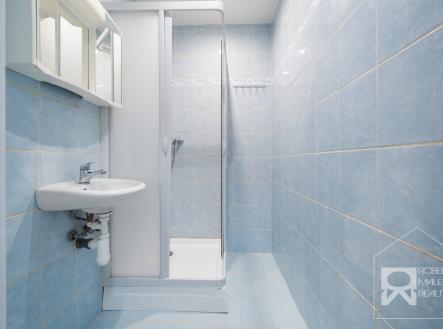 Koupelna se sprchovým koutem | Pronájem bytu, 2+kk, 43 m²