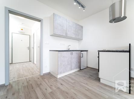 Kuchyňská linka se spotřebiči | Pronájem bytu, 1+kk, 48 m²