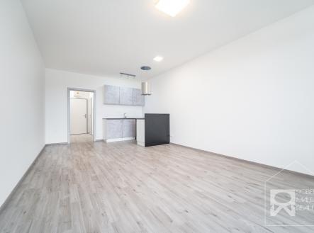 Obývací pokoj - pohled z balkónu | Pronájem bytu, 1+kk, 48 m²