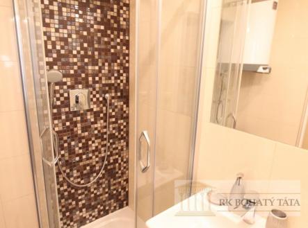 foto: 4 | Pronájem bytu, 1+kk, 23 m²