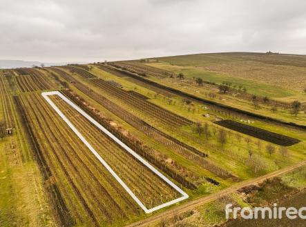 fotopozemek2 (2) | Prodej - pozemek, ostatní, 3 587 m²