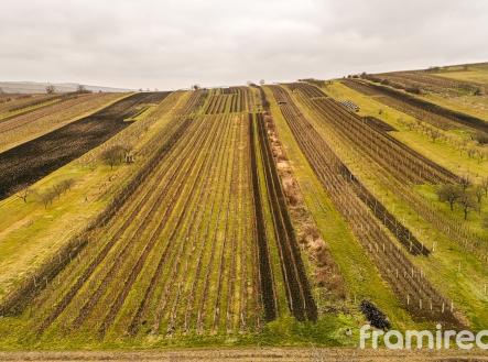 fotopozemek2 (1) | Prodej - pozemek, ostatní, 3 587 m²
