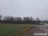 Prodej - pozemek, zemědělská půda, 4 185 m²