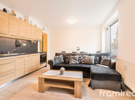 fotobytrousinov (7) | Pronájem bytu, 2+kk, 56 m²