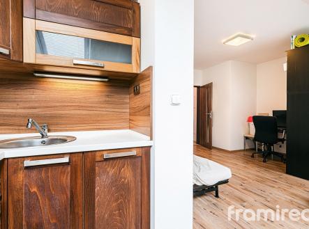fotobytanenska (6) | Pronájem bytu, 1+kk, 35 m²
