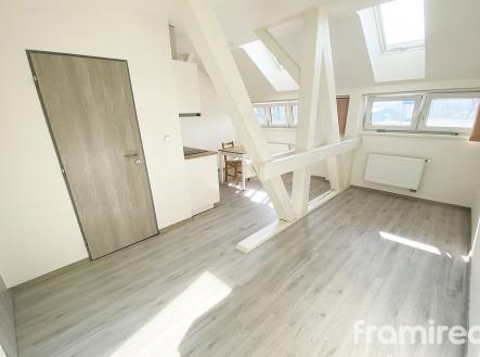 fotobyt (2) | Pronájem bytu, 1+kk, 24 m²